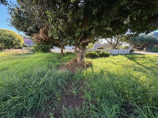 0 Bedroom Property for Sale in Tergniet Western Cape